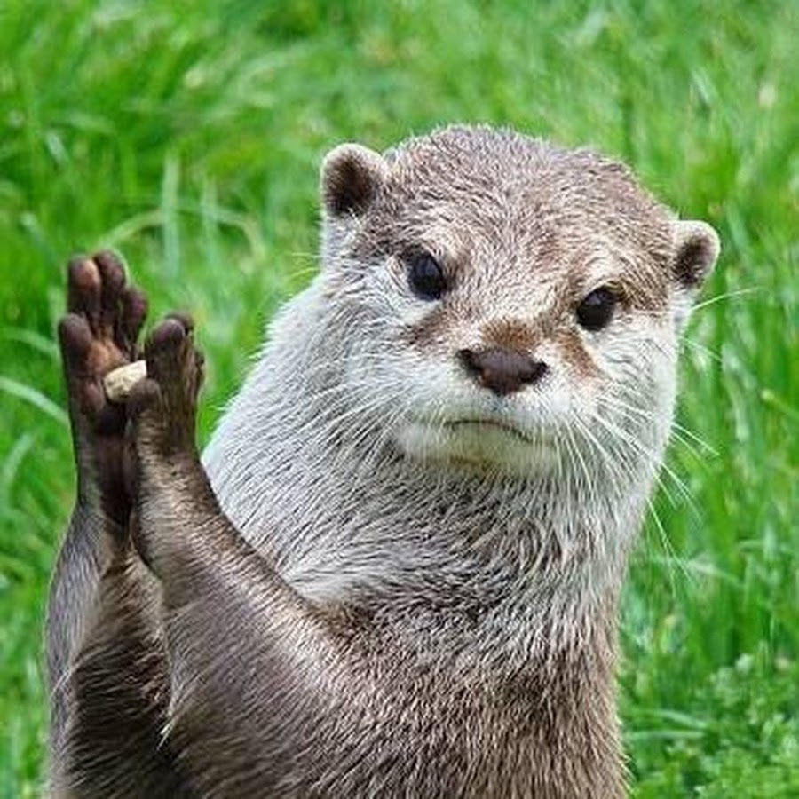 Martin Monday- The Return