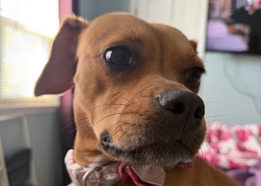 Wobert Wednesday – Friday Edition